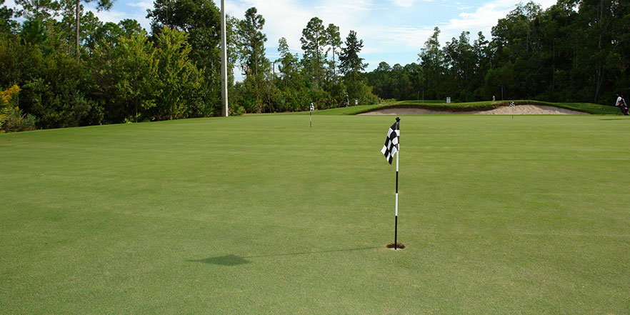 искусственный газон для полей для гольфа