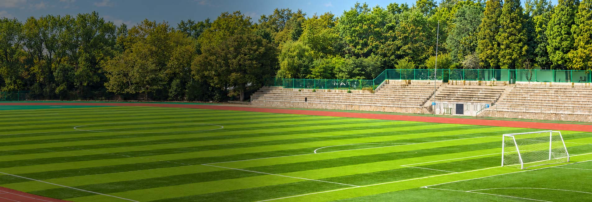 Мир намного зеленее с Avengrass
